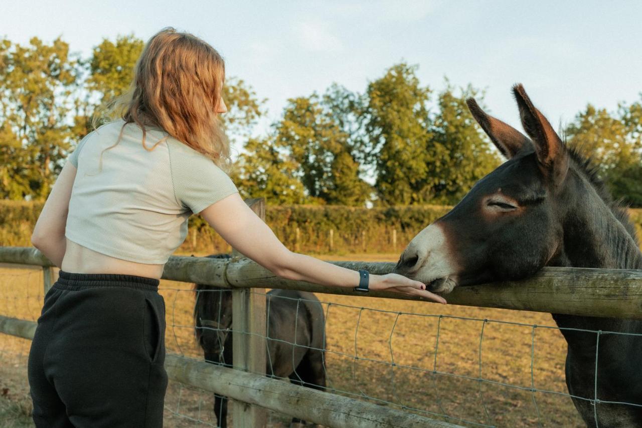 치펜햄 Glamping At The Retreat Wiltshire Is Rural Bliss 빌라 외부 사진